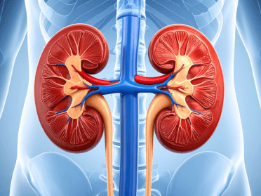 An Educational Evening on Urology