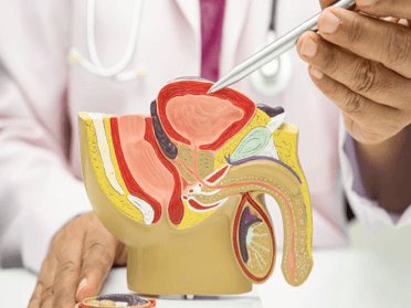 Urology – Public Information Meeting