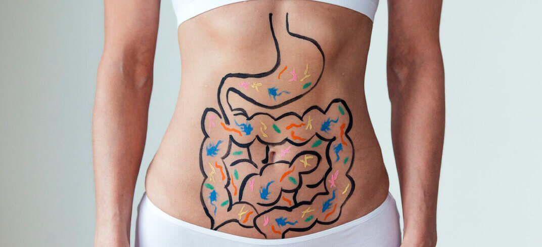 Disbiosi Intestinale: Il Ruolo Del Microbiota | UPMC Italy