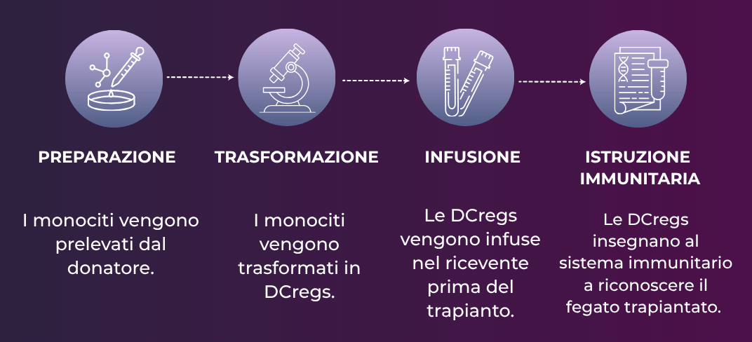 Trapianto di Fegato: Pazienti Senza Farmaci Antirigetto | UPMC Italy