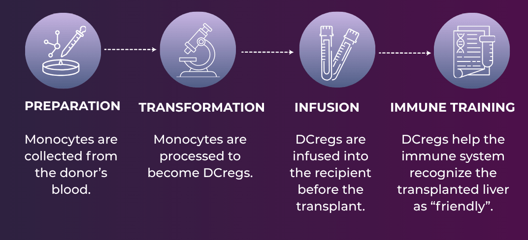 Liver Transplant: Patients Without Anti-Rejection Drugs | UPMC Italy